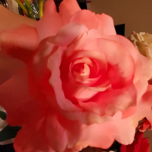 Meet your Posher, Andrea - Picture 1 of 1